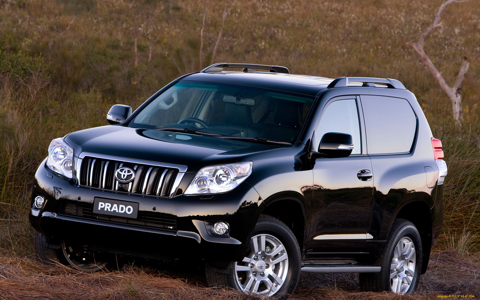 , toyota, 